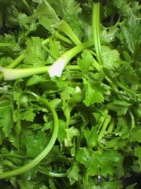 もらいもの＾＾ 2007/04/17 21:09:20