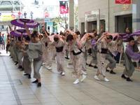 土佐のおきゃく♪5