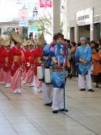 土佐のおきゃく♪5