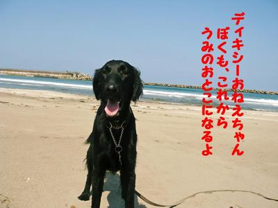 おにいちゃんと海