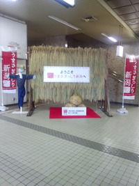 出張