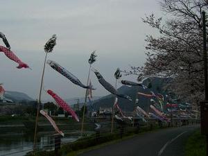 河川４月（３）