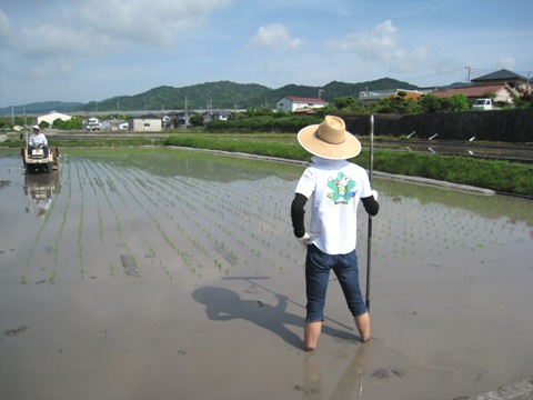 お米ヒトツブができるまで　【田植え編】