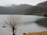 再会の湖　’10　（前篇） 2010/03/28 10:38:02