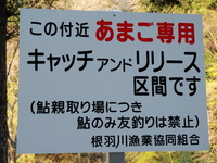 根羽川Ｃ＆Ｒ 2010/04/27 20:03:27