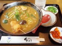 豊橋カレーうどん 2011/05/28 10:37:18