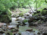沢釣り 2010/07/04 22:36:30