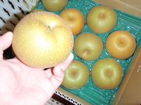 もつべきものは 2010/09/08 22:01:10