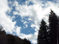 台風後釣行 2010/11/03 10:52:00