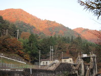 ソロキャン　11/14～15　後編 2010/11/21 19:13:43