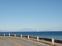 やっぱ海鮮 2012/01/09 06:02:50
