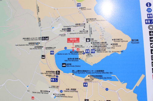 なまけもの。島に行く。