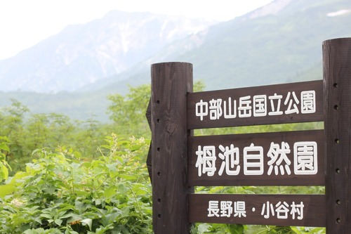 夏のおもひで