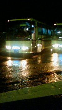 また雨だ〜(T_T)