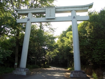 週末のおやじサイクリング(*^_^*)