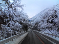 又やってしまった(T_T)