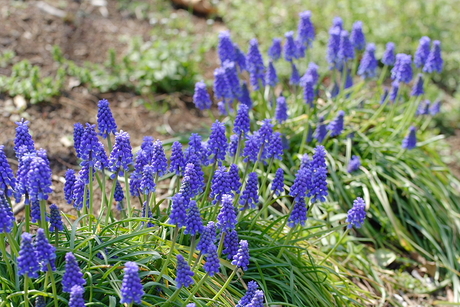 君の名は・・・・・