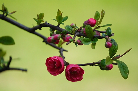 君の名は・・・・・