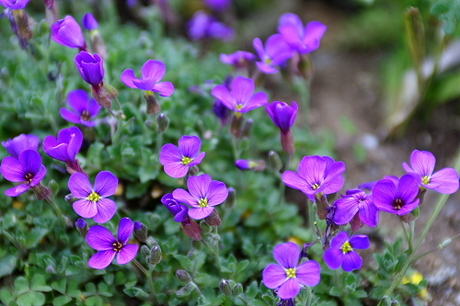 君の名は・・・・・