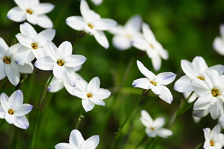 君の名は・・・・・