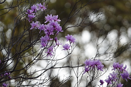 君の名は・・・・・