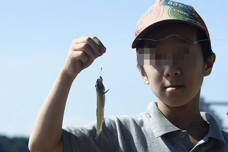 涸沼　広浦公園キャンプ場　で海鮮キャンプ