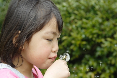 子守りのような…　花見のような…