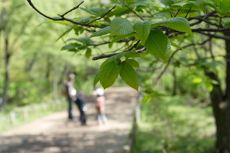 弘法山公園～念仏山