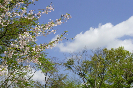 弘法山公園～念仏山