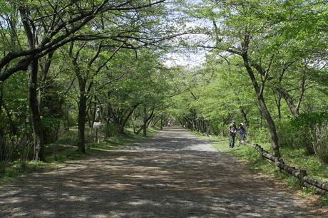 弘法山公園～念仏山