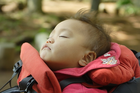 弘法山公園～念仏山