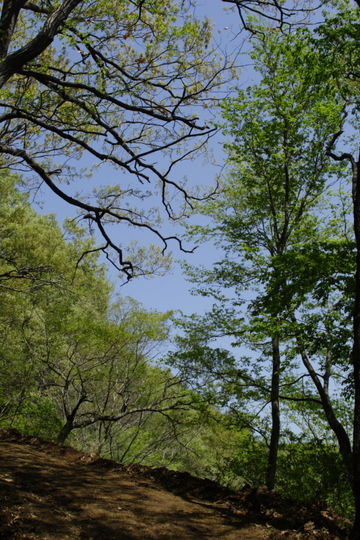 弘法山公園～念仏山