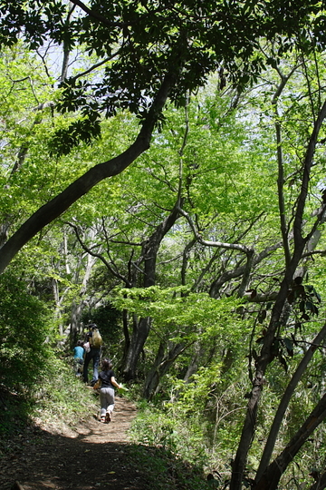 弘法山公園～念仏山