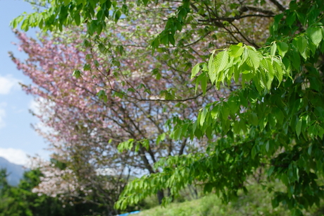 弘法山公園～念仏山