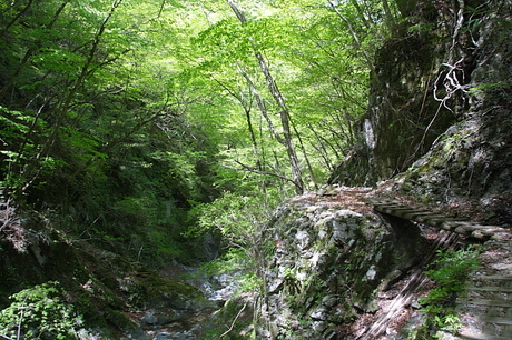 雨山峠～ユーシン～檜岳　その２