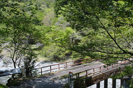 雨山峠～ユーシン～檜岳　その２