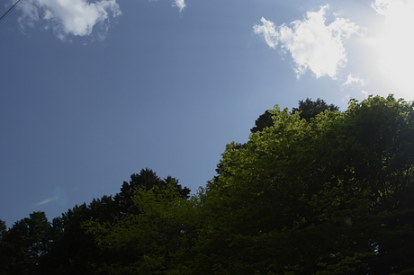 雨山峠～ユーシン～檜岳　その２