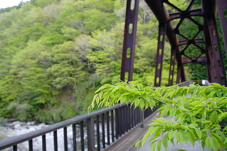 雨山峠～ユーシン～檜岳　その２