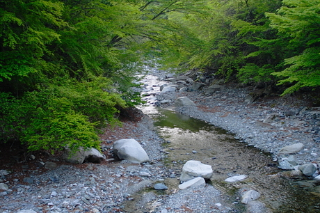 雨山峠～ユーシン～檜岳　その２