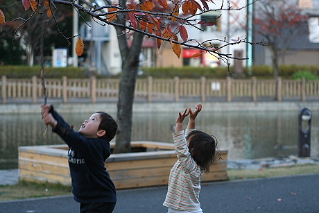 新左近川公園でデイキャンプ