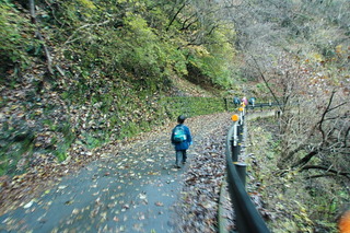 奥多摩　川苔山　子連れ登山 2011.12.04