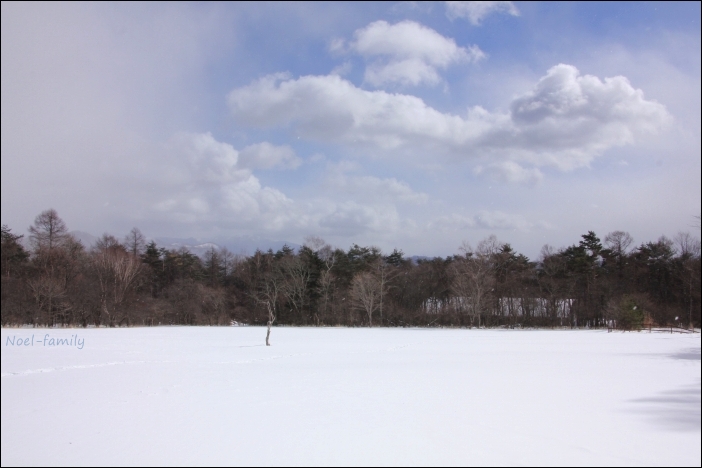 *snow trip* 2013 -初めてのスノーシュー編-