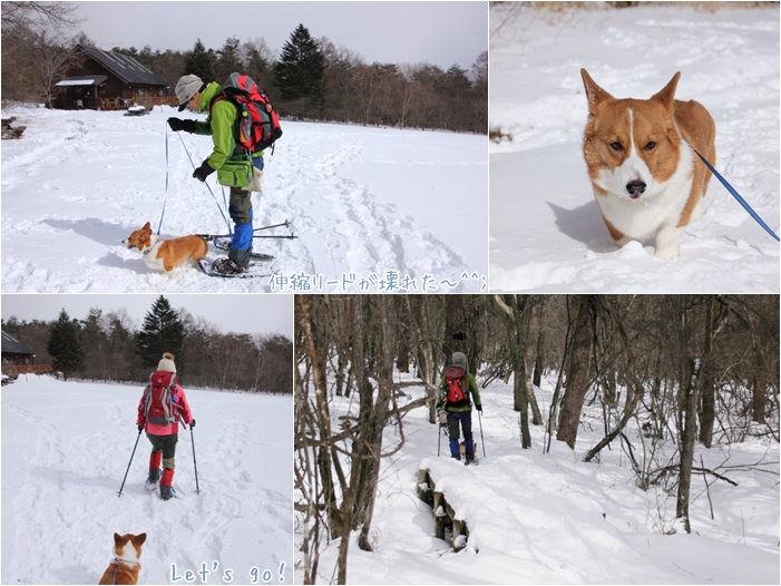 *snow trip* 2013 -初めてのスノーシュー編-