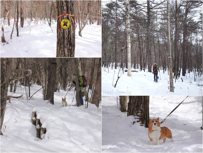 *snow trip* 2013 -初めてのスノーシュー編-