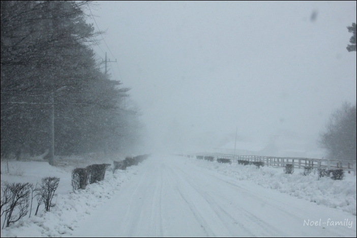 *snow trip* 2013 -初めてのスノーシュー編-