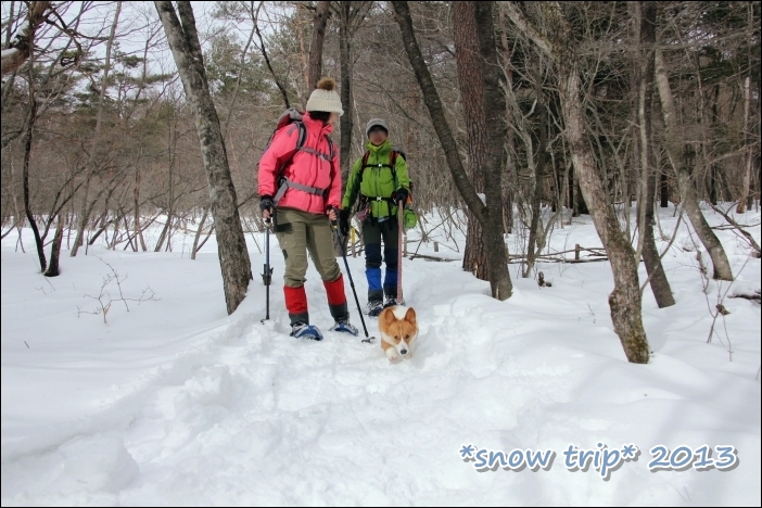 *snow trip* 2013 -初めてのスノーシュー編-