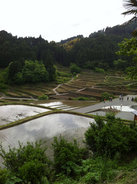 つづら棚田田植え
