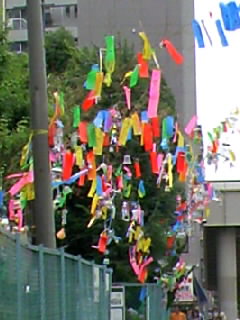 恒例平塚七夕オフ