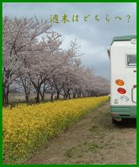 出動準備は万端ですが・・・・