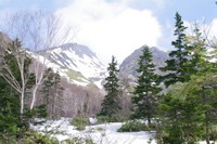 焼岳　残雪の終わりに 2011/06/18 23:48:39